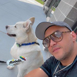 Meet your Posher, Hassan